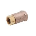Product Image of Check Valve, 1/2" NPT Female, Horizontal Or Vertical (identical To B-cvv1-2), B-CVH1-2