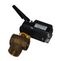 Product Image of Valve Water, T111500025
