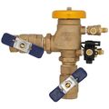 Product Image of 3/4" 765-QT-FZ Pressure Vacuum Breaker w/ Freeze Sensor