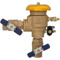 Product Image of 1" 765-QT-FZ Pressure Vacuum Breaker w/ Freeze Sensor