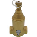 Product Image of 1" Spirotrap Drain Brass Dirt Separator with removable head (Female Thread)