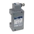 Product Image of Limit Switch Lever Arm 2IN C, 9007CA4S