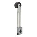 Product Image of Limit Switch Lever Arm AW+C +Options, 9007HA26
