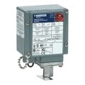 Product Image of Pressure Switch 480VAC 10 Amp G +Options, 9012GDW6G18