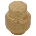 Product Image of 3/8" SharkBite EndStop (Lead Free), U512LFA