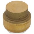 Product Image of 1/2" SharkBite PVC Cap, UIP514A