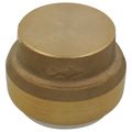 Product Image of 1" SharkBite PVC Cap, UIP520A