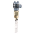 Flotect Universal Vane-Operated Brass Flow Switch
