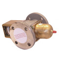 Product Image of 2" V46 Series Pressure Actuated Water-Regulating Valve (70-170 PSI)