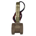 1-1/4" NPT Flotect Explosion-Proof Mini-Size Brass DPDT Flow Switch w/ Brass Tee
