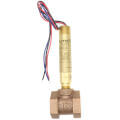 1" NPT Flotect Explosion-Proof Mini-Size Brass SPDT Flow Switch, w/ Brass Tee