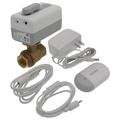 Product Image of WiFi Actuator w/ Leak Detector and 3/4" NPT Ball Valve