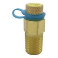 Product Image of 1/4" Pressure & Temperature Test Plug