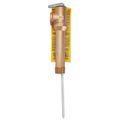 Product Image of 3/4" RL100XL-150210 Temperature And Pressure Relief Valve, 4.75" Shank (150 psi)