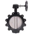 Product Image of 10" 88IPH65 Lug Ductile Iron Butterfly Valve, Gear Operator (200 PSI)