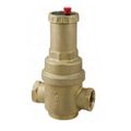 Product Image of 1-1/4" NPT Microbubble Eliminator