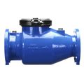 Product Image of 8" 310 Detector Check Valve, Flanged, Less Gate Valves, 1" NPT Taps