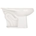 Product Image of Elongated Chair Height Toilet Bowl Only - Less Seat