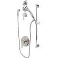 Product Image of Temp-Gard III Shower Unit, 2.5 GPM (Chrome)