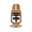 FR-QR Pendent Sprinkler (SS2551), QR, 5.6K, 162-Degree (F) - Brass - Head Only