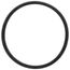 UG O Ring 2100-4001, 005891F