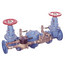 2" Double Check Detector Assembly (007M1DCDA-OSY-CFM)