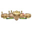 1-1/4" Bronze RPZ (009M2QT)