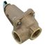 3/4" 1,700,000 BTU Relief Valve (125 PSI), 007224F