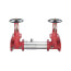 2-1/2" 757 Double Check Detector Assembly with OSY Shutoff Valves (757-OSY)