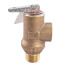 1/2" LF53L-175 Poppet Type Lead Free Pressure Relief Valve (175 psi)