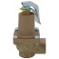 3/4" LF174A Lead Free Relief Valve (75lb)