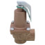 3/4" LF174A Lead Free Relief Valve (150lb)