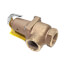 1-1/2" LF174A Lead Free Relief Valve (125 lb)