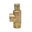 3/4" 530C Poppet Style Relief Valve, 100-300 psi Adjustable (Lead Free)