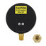 LFDPTG-1 3" Bottom Entry Pressure & Temperature Gauge (0-75 psi)