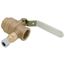 3/4" LFBRVM1 Threaded x Threaded x Compression Combination Ball Valve and Relief Valve, 125 PSI (Lead Free)