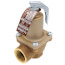 3/4" 174A Relief Valve (75lb)