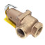 1" 174A Relief Valve (60 psi)