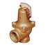 1-1/4" LF174A Lead Free Relief Valve (50 lb)
