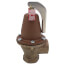 1-1/4" 174A Relief Valve (30lb)