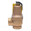 1-1/4" 174A Relief Valve (75lb)