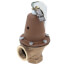 1-1/4" 174A Relief Valve (100lb)