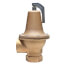 2" 174A Relief Valve (80lb)
