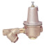 1" LF223S Lead Free High Capacity Pressure Valve w/ Strainer
