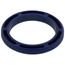 A170-1 Refill Head, Blue