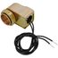 EL138-2 Electronic Solenoid Assembly, 24V (Rough Brass)
