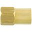 1/8" Brass Standard Nozzle Adapter