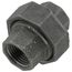 1/2" Black Union, Class 150