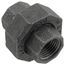 1/2" Black Union, Class 150