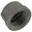 1-1/4" Black Cap, Class 150